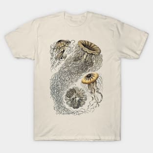 Ernst Haeckel  Jellyfish Sepia T-Shirt